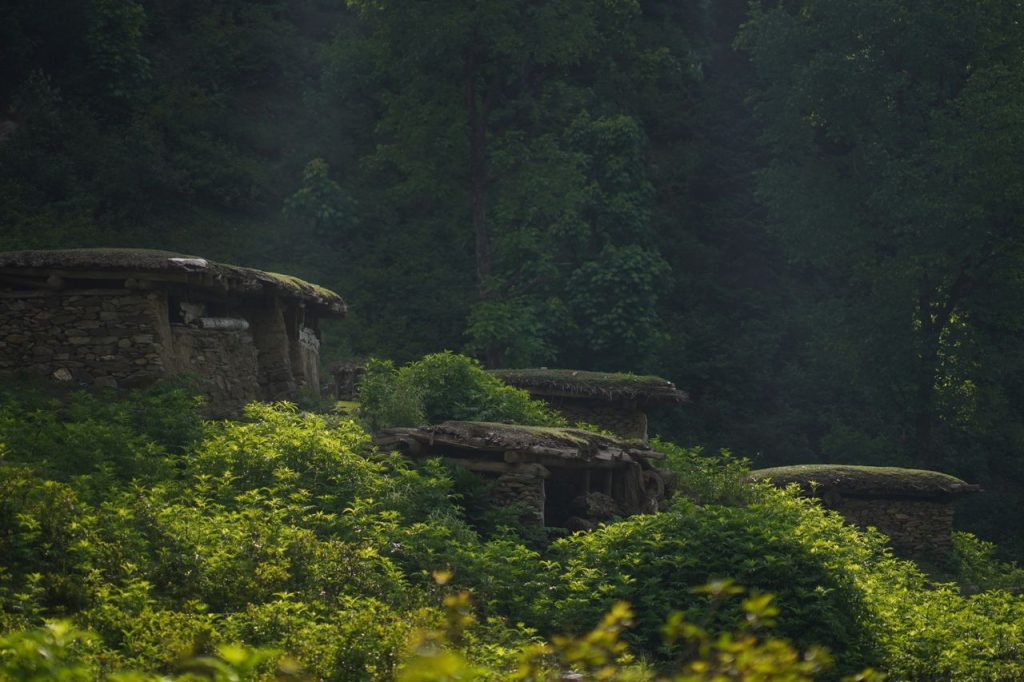 Rustic stone huts nestled in a green forest, shrouded in mist, invoking a serene natural escape.